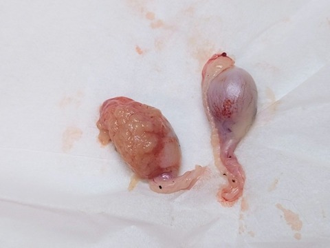 20251214_105018~2_copy_800x600