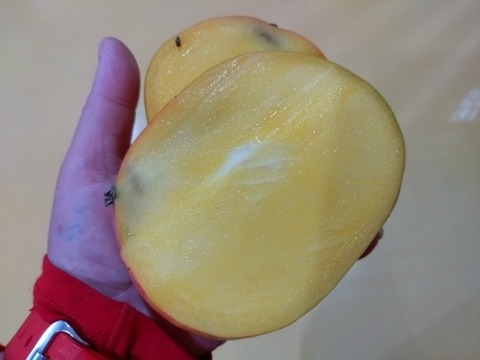 20260301_072515_copy_800x600