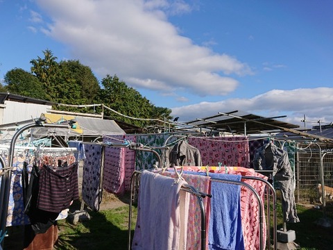 DSC_3508-800x600