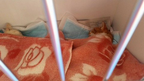 1574285626966-800x450