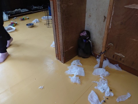 DSC_2762_copy_800x600