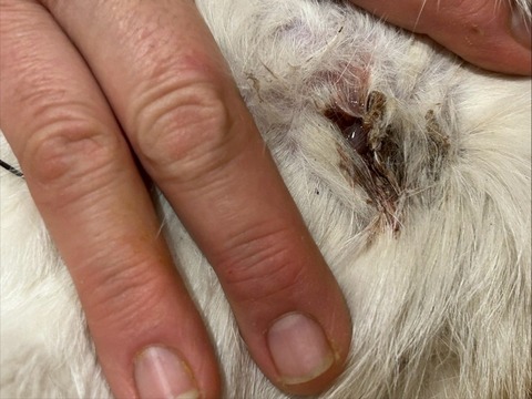 1764989704532_copy_739x554