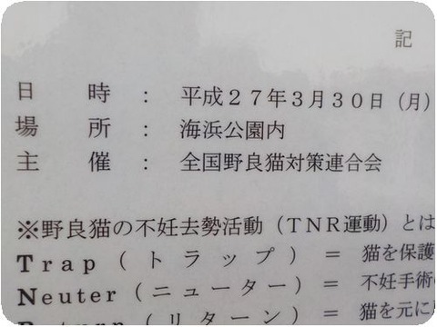 DSCN4922