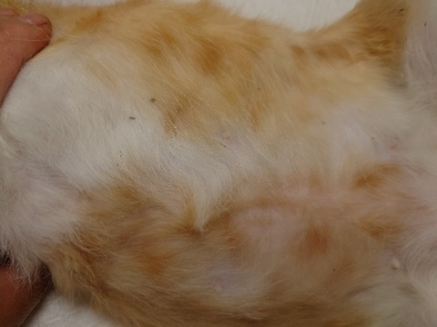 20220728_112608_copy_800x600