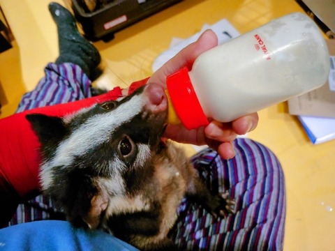 20230301_072332~2_copy_800x600