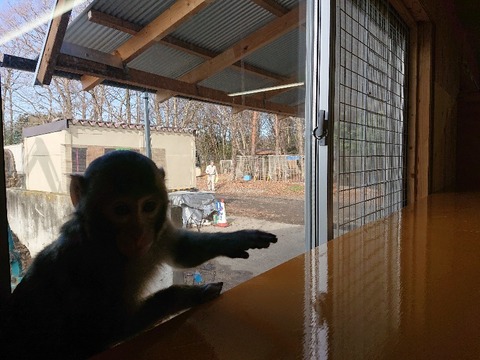 DSC_5871_copy_800x600