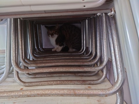 20230405_104435_copy_800x600