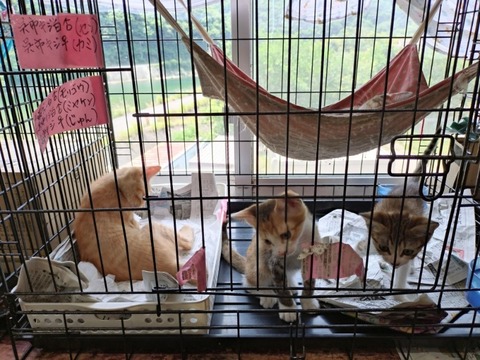 20250620_123003_copy_800x600