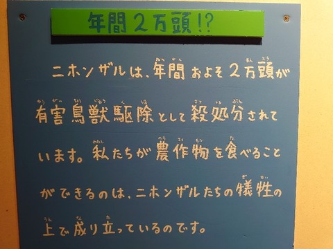 DSC_0335_copy_800x600