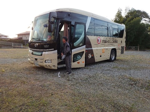 DSC_1673_copy_800x600