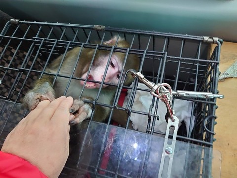 DSC_4231_copy_800x600