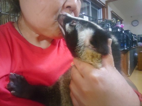 20230618_202021_copy_800x600