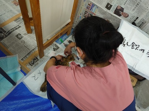 DSC_1756_copy_800x600