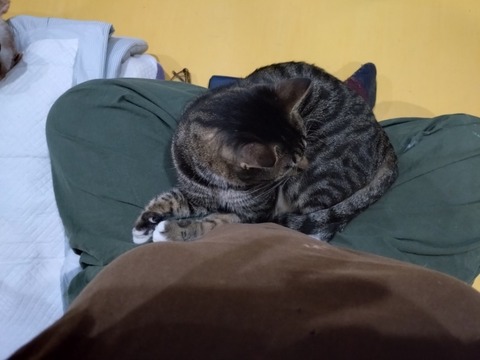 20251022_073641_copy_800x600