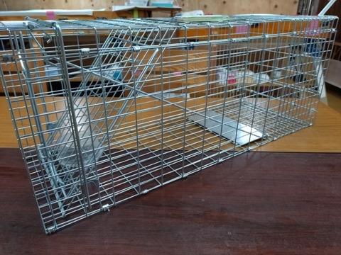 20251228_135607_copy_800x600