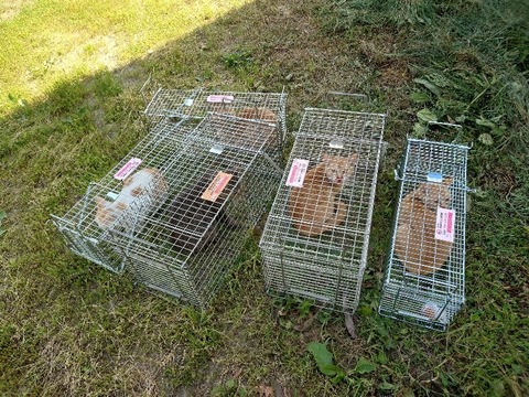 20230704_144750_copy_800x600