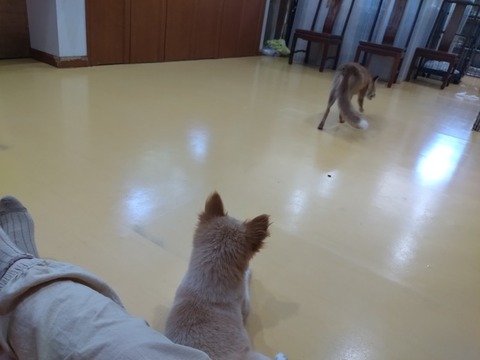 20260725_151040_copy_800x600