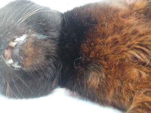 20230405_082547_copy_800x600