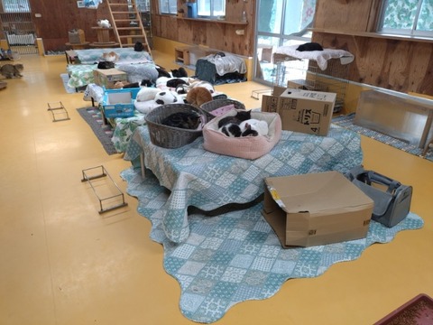 20251011_120519_copy_800x600