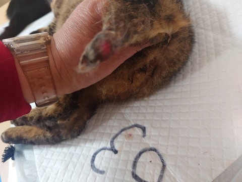 20240313_151014_copy_800x600