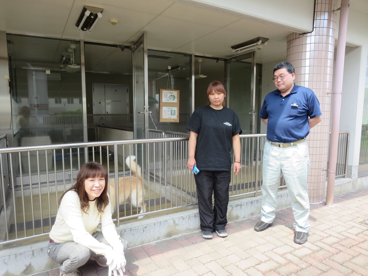栃木県 Npo犬猫みなしご救援隊 代表ブログ みなしご庵へようこそ