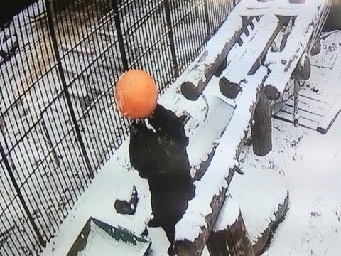 20260208_074736~2_copy_800x600