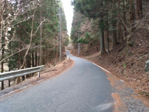 20260313_141926_copy_800x600