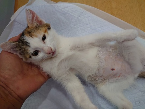 DSC_0021_copy_800x600