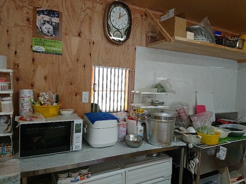 DSC_5896_copy_800x600