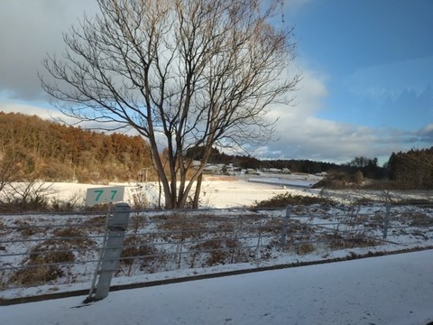 20260109_080855_copy_800x600