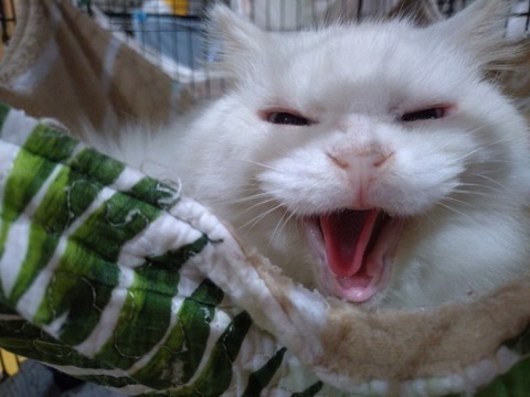 20260222_085323_copy_800x600