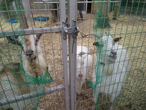 20230302_162011_copy_800x600