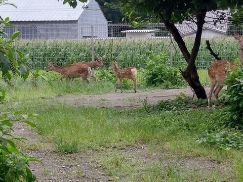 20260812_100300_copy_800x600