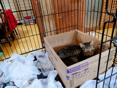 20230301_083859~2_copy_800x600