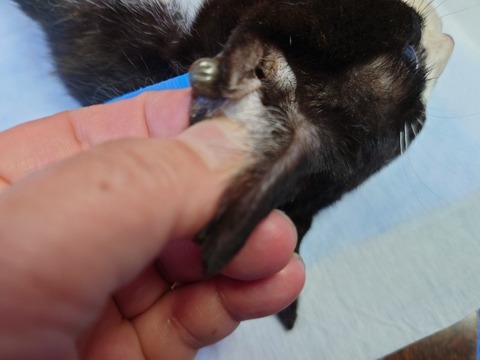 20220722_104702_copy_800x600