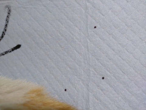 20260512_111526_copy_800x600