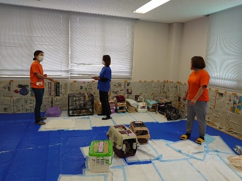 DSC_1682_copy_800x600