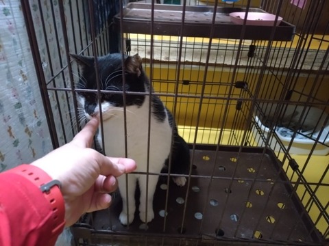 20251222_201333_copy_800x600