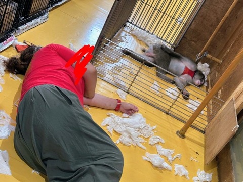 1761312289926~2_copy_738x554