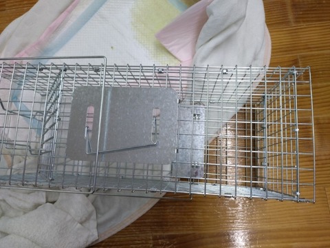 20251224_085155_copy_800x600