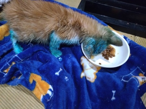 20251025_202157_copy_800x600_copy_800x600