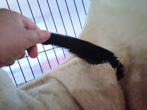 20260222_073809~2_copy_800x600