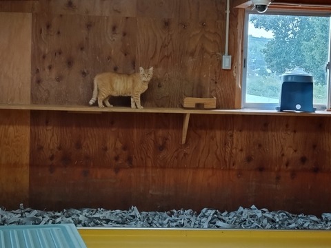 20251011_121817_copy_816x612