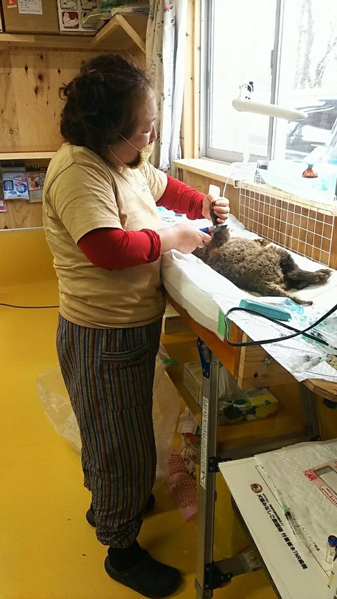 1583657811359_copy_600x1066