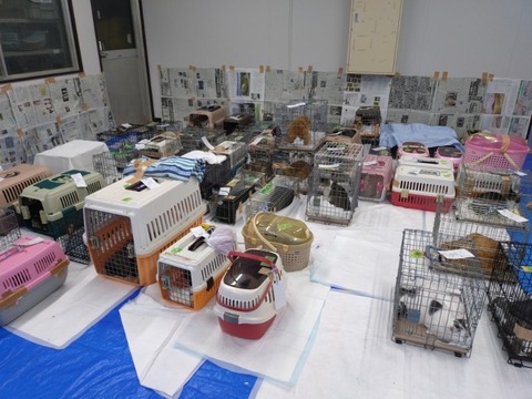 20260121_163630_copy_800x600