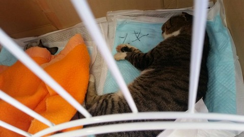 1574285642484-800x450