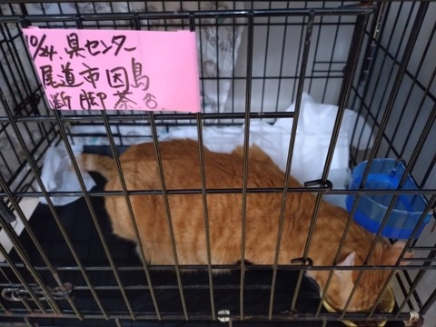 20251125_122948_copy_800x600