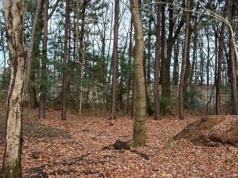 20251225_095957_copy_800x600