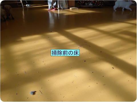 DSC_3221