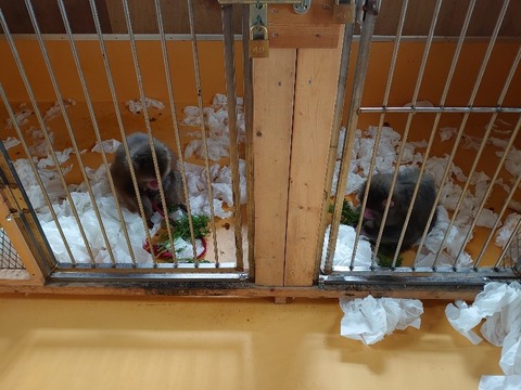 DSC_1331_copy_800x600